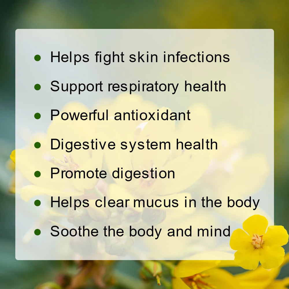 Greenpeople Herbal Mullein Leaf Tea Lung Cleansing