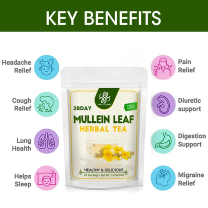 Mullein Leaf Tea, Mullein Tea Bags for Lung Cleanse