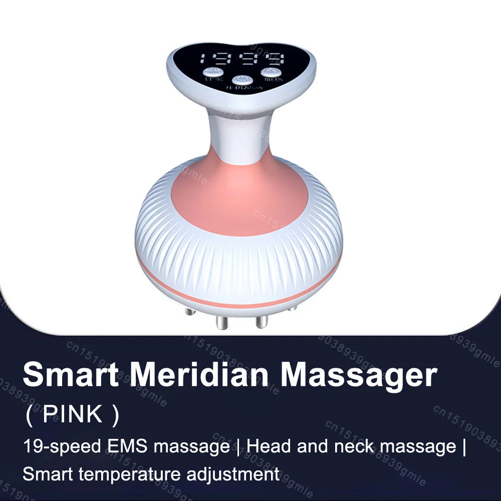 Electric Meridian Brush Gua Sha Body Massager EMS