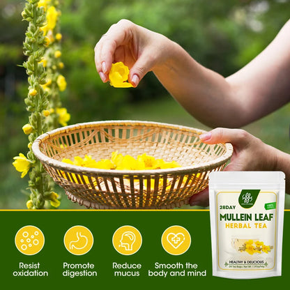 Mullein Leaf Tea, Mullein Tea Bags for Lung Cleanse
