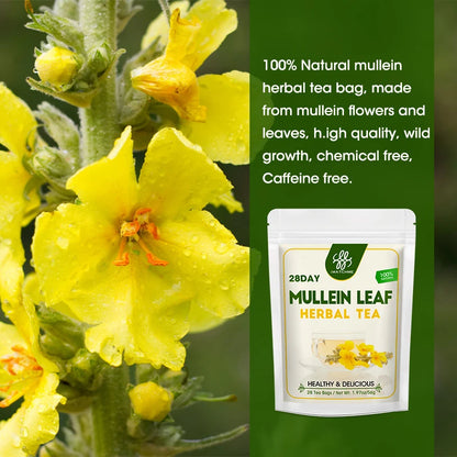 Mullein Leaf Tea, Mullein Tea Bags for Lung Cleanse